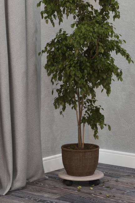 Комплект подставок напольных на колесах Калифорния Спираль, дуб