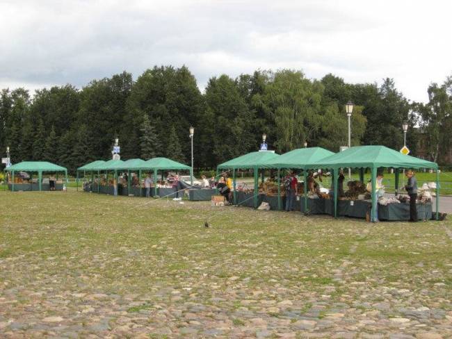 Шатер Митек 2,5х5 м без стенок (2 места)